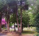Resize 3